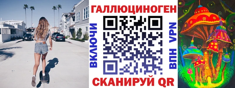 Купить  Стародуб  Псилоцибиновые грибы мицелий 