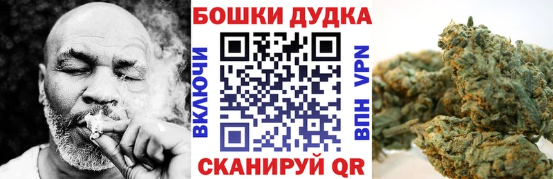 Купить где  Стародуб  Шишки марихуана White Widow 